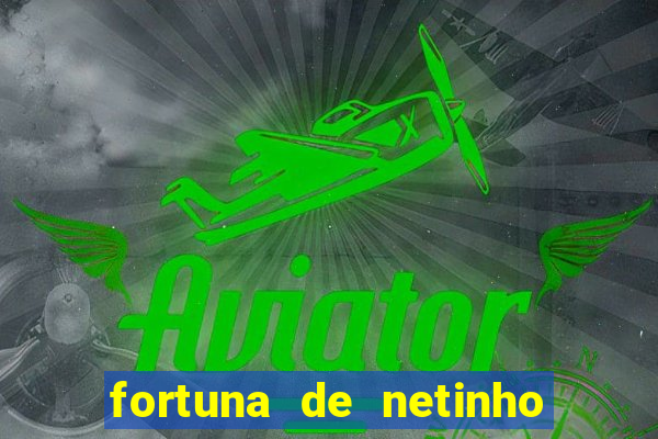 fortuna de netinho de paula